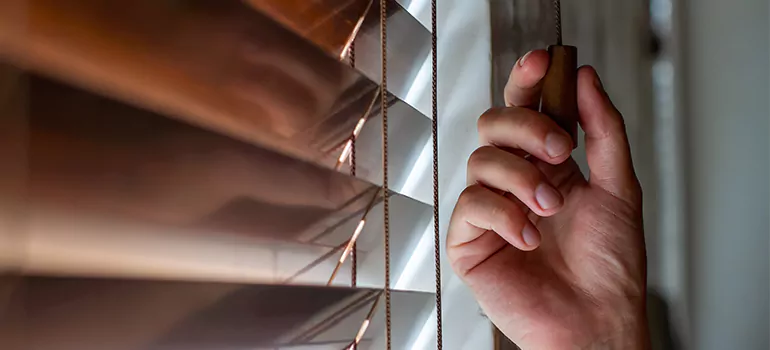 Double Roller Blinds in North Lauderdale, FL