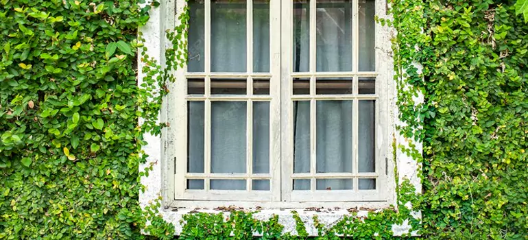 Garden Window Repair Near Me in North Lauderdale, FL