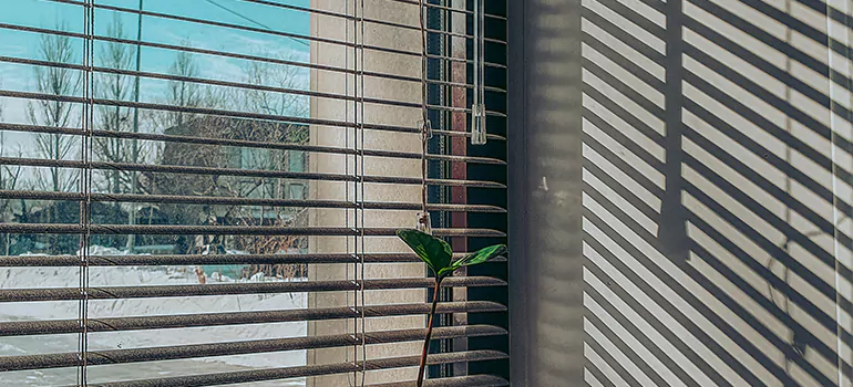 Commercial Window Blinds in North Lauderdale, FL