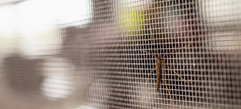 Repair Mosquito Mesh For Windows in North Lauderdale, FL