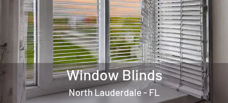  Window Blinds North Lauderdale - FL