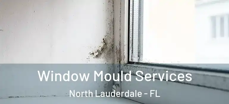  Window Mould Services North Lauderdale - FL